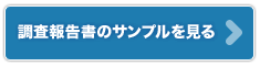調査報告書のサンプルを見る